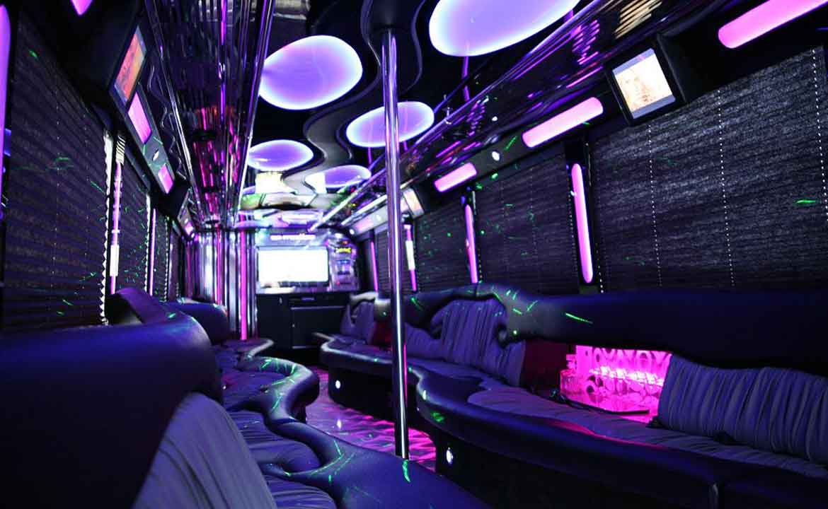 18 Passenger Party Bus